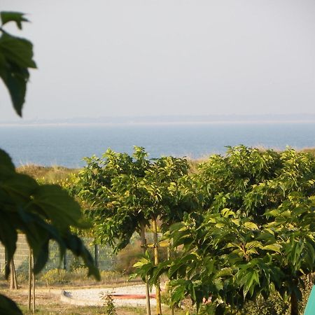 Au Petit Bonheur Hotel La Tranche-sur-Mer Bagian luar foto